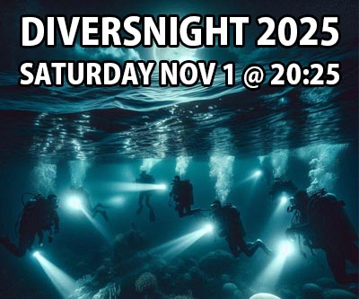 Injectbanner_1 Diversnight 2025 MOBILE