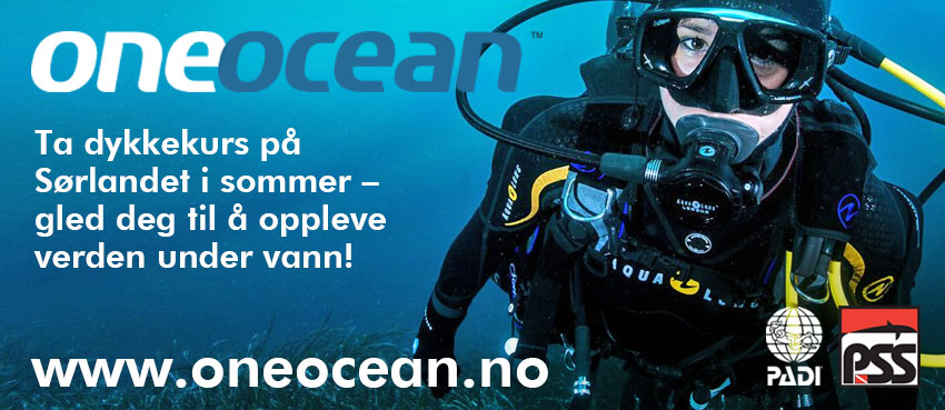 Take a diving course in Sørlandet this summer!