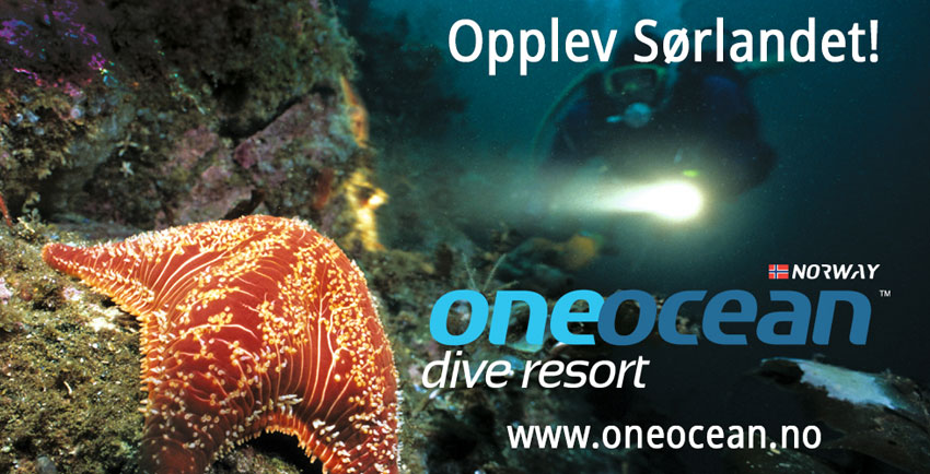 One Ocean 850px - STARFISH