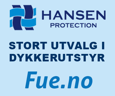 Hansen Protection Fue.no IAB 400px