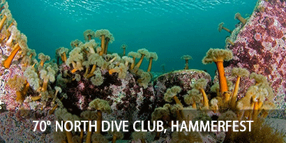 70° North Dive Club