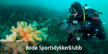 Bodø Sportsdykkerklubb