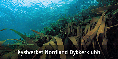 Kystverket Nordland Dykkerklubb