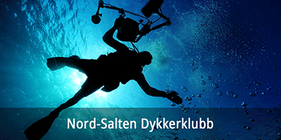 Nord Salten Dykkerklubb