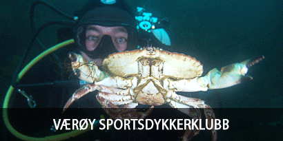 Værøy Sportsdykkerklubb