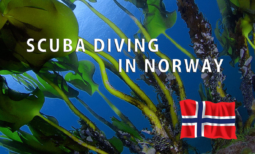 For våre annonsører: Scuba Diving in Norway