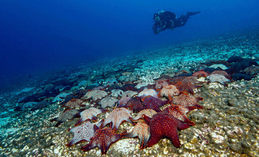 Bjørnar Nygård vant NM-kvalifiseringen