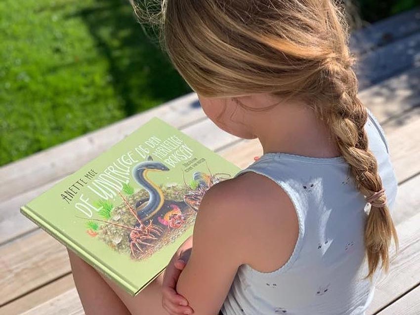 De underlige og den merkelige boksen