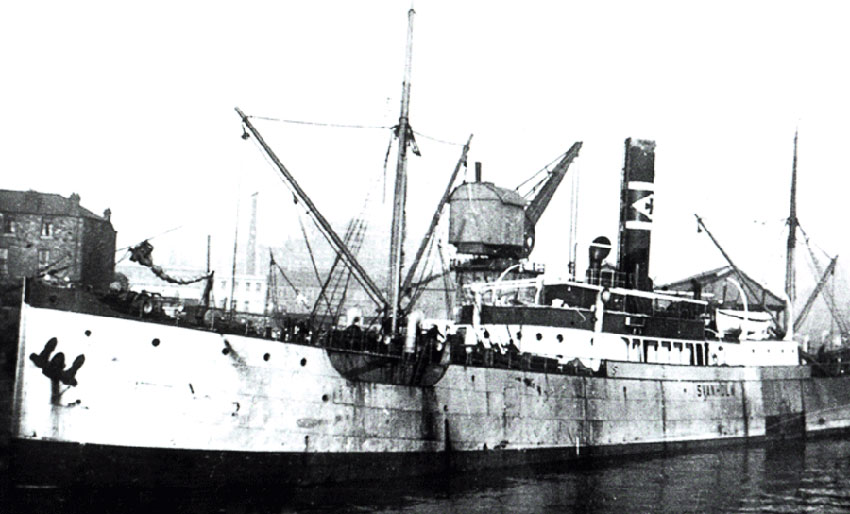 Bjergfin som Svanholm