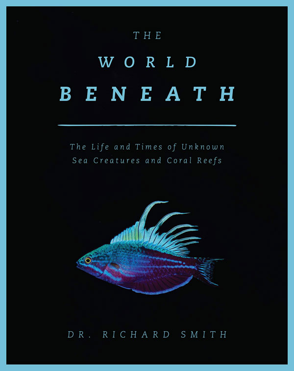The World beneath