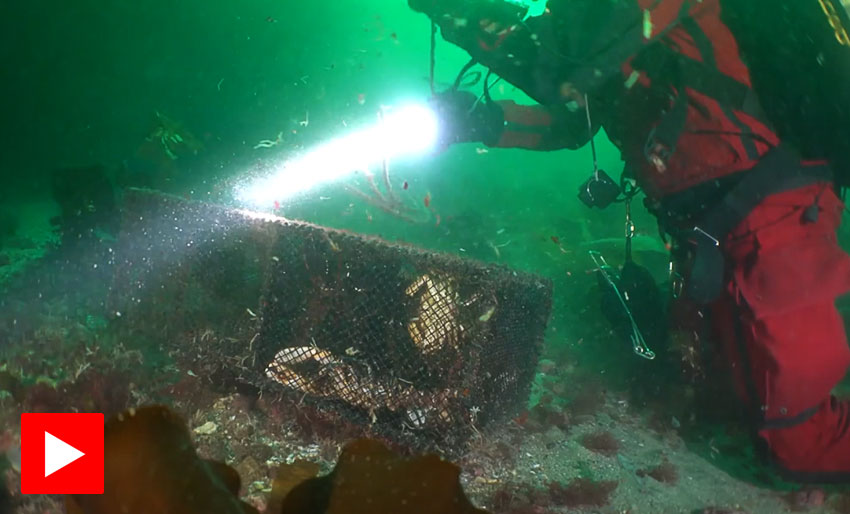 Dette skjer i en spøkelsesteine