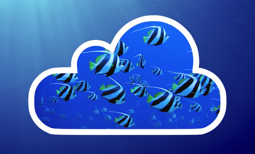 Ta backup av UV-bildene dine