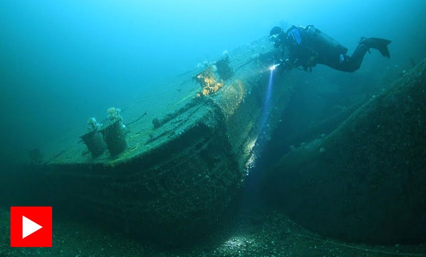 Ta et dykk på Svestad brygge