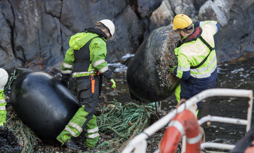 Har ryddet opp utenfor Tvedestrand
