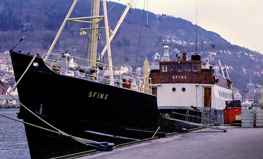 Vraket av Telanbo på Svalbard