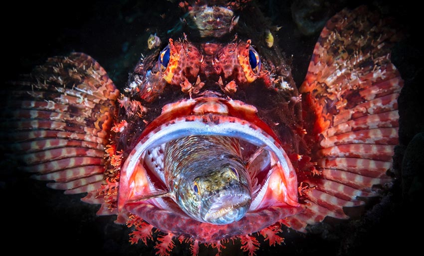 Husk deadline i DPG Masters i dag