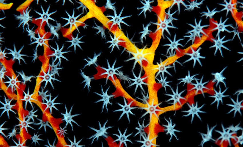 Her kan du konkurrere i februar