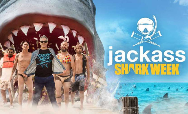 Jackass Shark Week