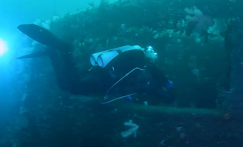 M/S Trysfjord utenfor Kragerø