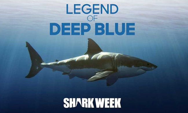 Legend of Deep Blue