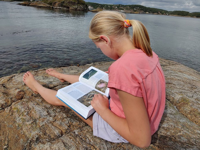 Forskerskolen