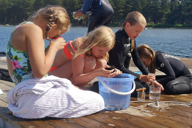 Forskerskolen