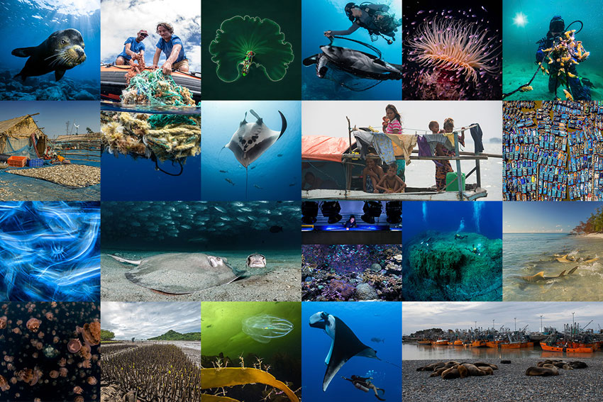 Vinnerne fra World Oceans Day 2022
