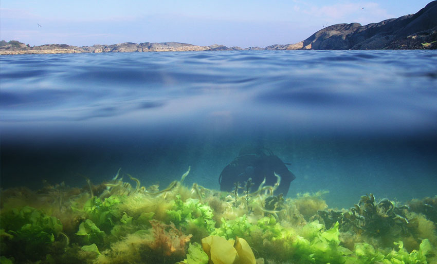 Opprettholder krav om nitrogenfjerning