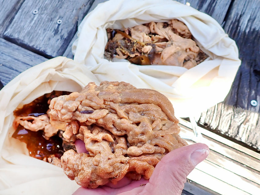 Mye havnespy i Haugesund