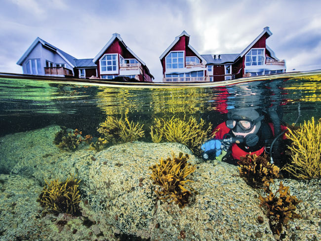 Anne Mari With Ottesen