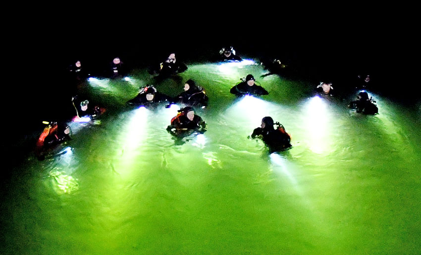 Diversnight 2022 to open soon