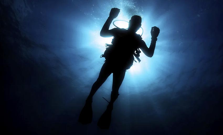 Night dive