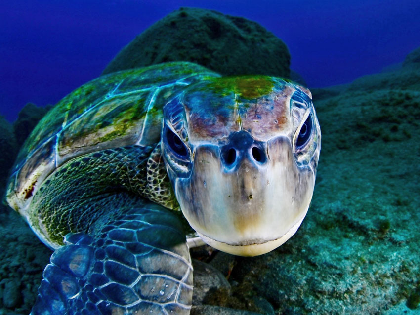 Fotokonkurranse på Dykmässan