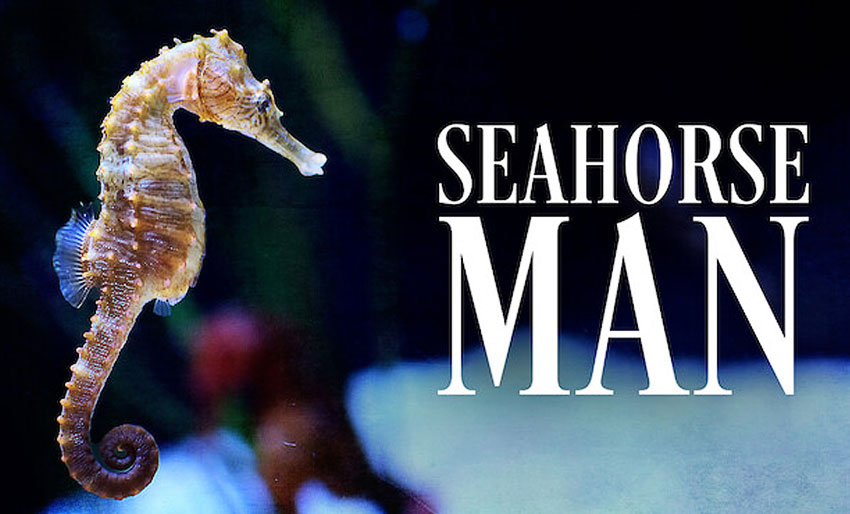 Seahorse Man