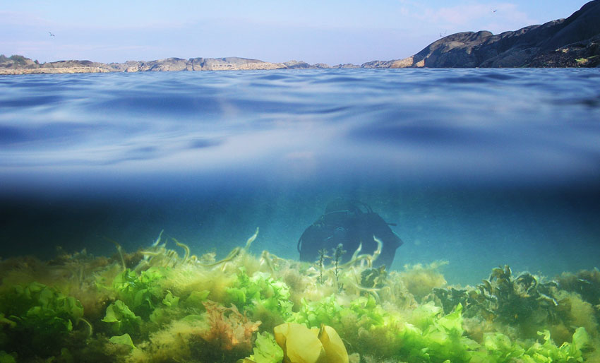 Ekstraordinært møte i Oslofjordrådet