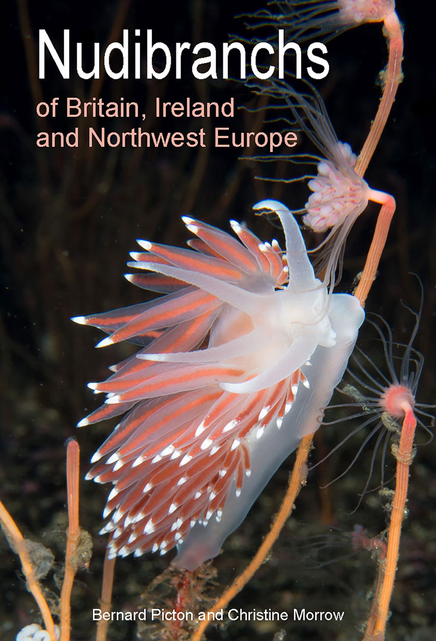 Nudibranchs of Britain, Ireland and Northwest Europe