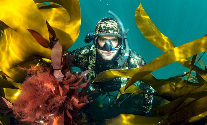 Learn how to freedive in Oslo