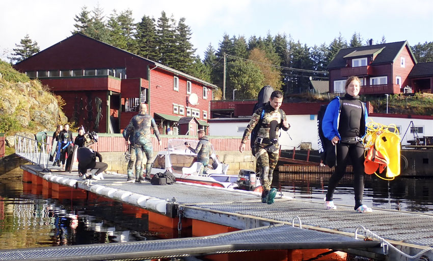 Fridykkerfestivalen