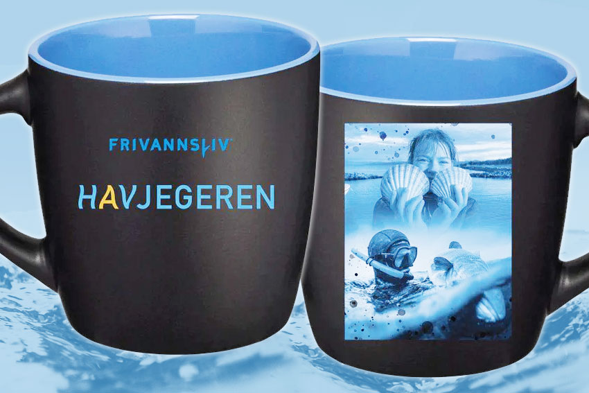 Havjegerkoppen