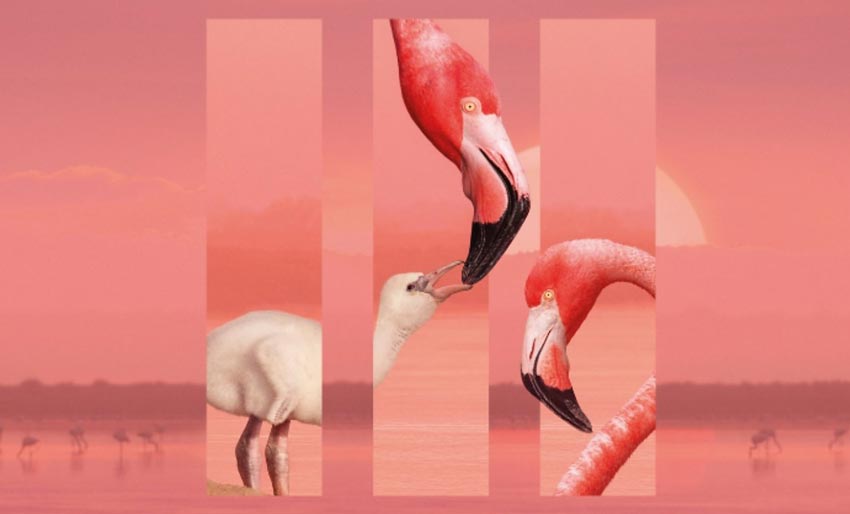 Premiere i dag: Planet Earth III