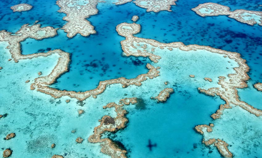 Krise for Great Barrier Reef