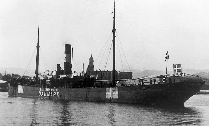 D/S Begonia