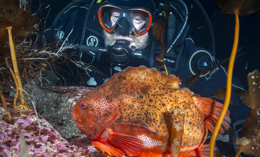 Nordisk Mesterskap i UV-foto 2025