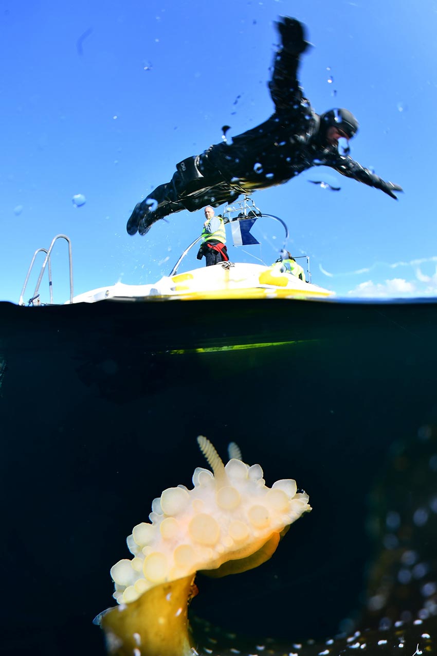 Morten Sætrang Haakonsen