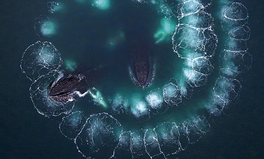 Siste sjanse til å delta her