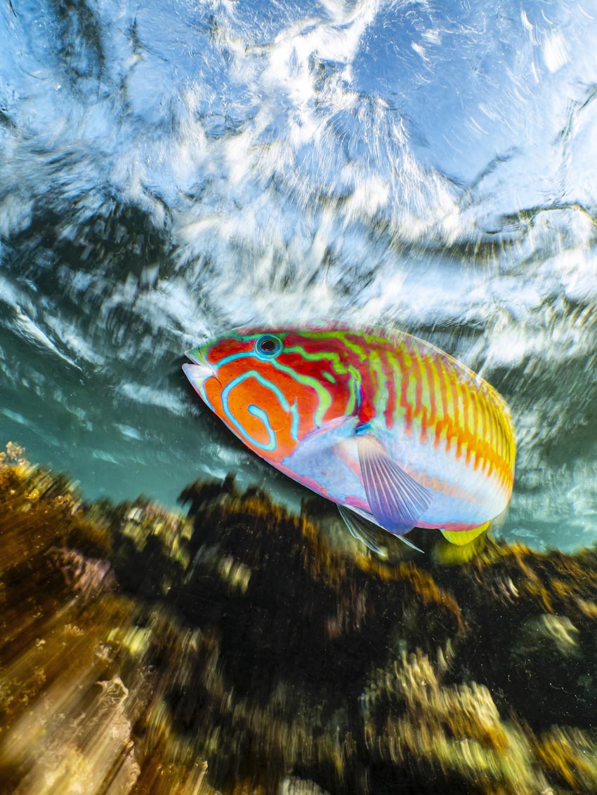 Husk deadline i UPY 2026