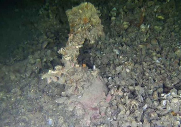 Cousteau tok ikke skipsklokken