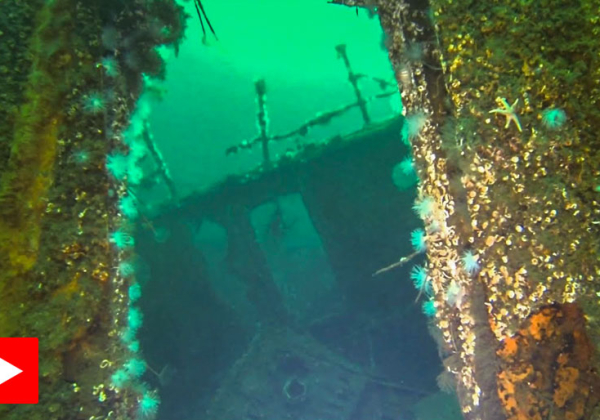 D/S Afrika i Ulvik i Hardanger