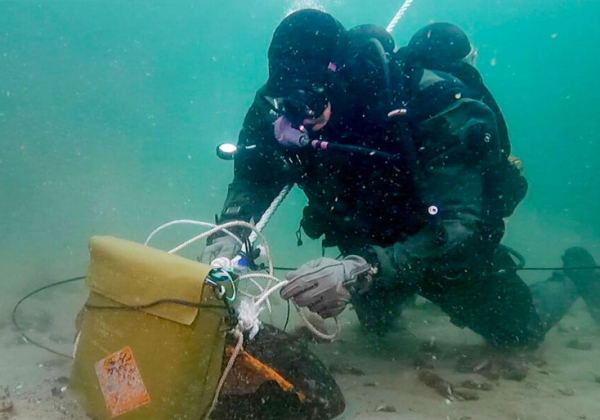 På jobb med verdens villeste dykkere