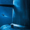 Se «Når ulven synger» i kveld